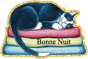 GIF bonne nuit chat